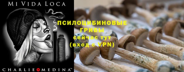 бошки Алексеевка