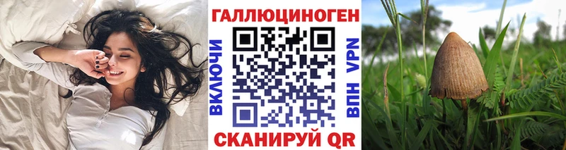 Псилоцибиновые грибы Psilocybine cubensis Бобров
