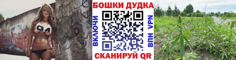 купить закладку  omg tor  Канабис White Widow  Бобров 